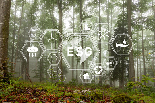 Concept ESG symbols on beautiful green forest landscape background.