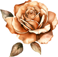 Bronze Rose Flower Watercolor Clipart