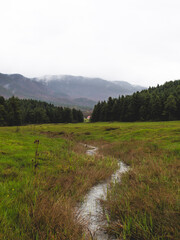 Obraz premium At Yaylası, Bolu, Turkey