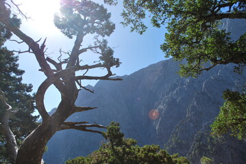 Samaria Gorge Crete