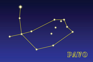 Constellation Pavo. Illustration of the constellation Peacock. Constellation of the southern hemisphere of the celestial sphere. Brightest star α Peacock, who is also known by the name Peacock