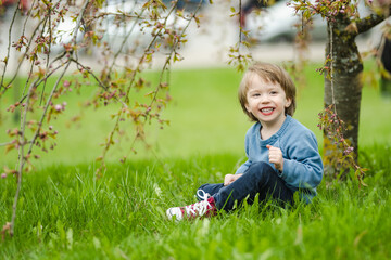 Cute toddler boy playing in blooming cherry tree garden on beautiful spring day. Adorable baby having fun outdoors.