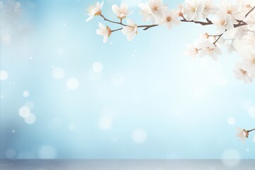 White cherry blossom on isolated magical bokeh background with copy space for text placement