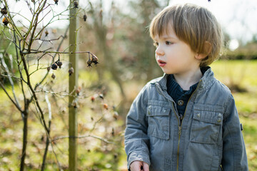 Cute toddler boy playing outdoors on sunny spring day. Child exploring nature.