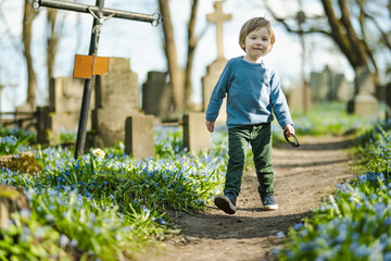 Cute toddler boy admiring blue scilla siberica spring flowers blossoming in April in Bernardine...