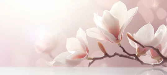 Zelfklevend Fotobehang White magnolia blossom on isolated magical bokeh background, with copy space for text placement © Ilja