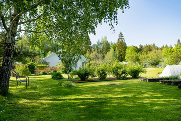 Beautiful green garden full of trees, decorative plants and blossoming flowers with big white house in a background.