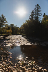 Sunlight on the river