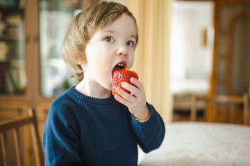 Cute little toddler boy eating strawberry at home. Fresh organic fruits for infants.