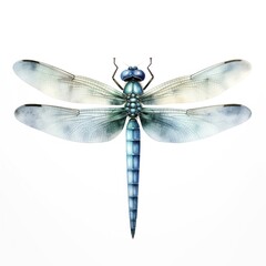 Watercolor illustration of blue dragonfly on white background