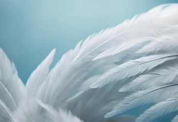 Airy soft fluffy wing bird with white feathers close-up of macro pastel blue shades on white backgro