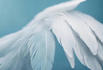 Airy soft fluffy wing bird with white feathers close-up of macro pastel blue shades on white backgro