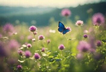 Wild flowers of clover and butterfly in a meadow in nature in rays of sunlight in summer in spring c