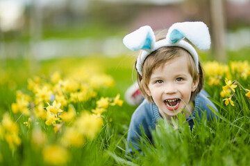 Cute toddler boy wearing bunny ears having fun between rows of yellow daffodils blossoming on spring day. Celebrating Easter outdoors. Egg hunt. - obrazy, fototapety, plakaty