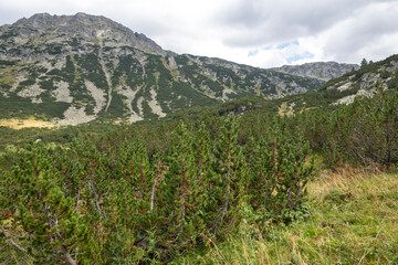 Landscape of Rila mountain near The Fish Lakes, Bulgaria