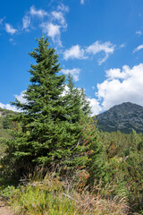 Landscape of Rila mountain near The Fish Lakes, Bulgaria