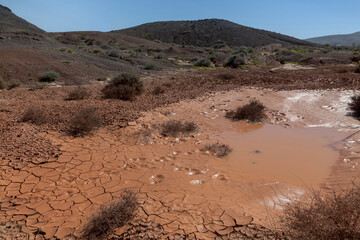 Trockenheit