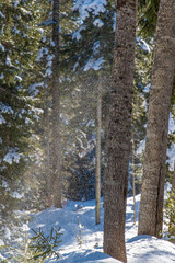 Winterspa&szlig; im Leutasch