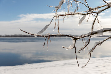 The sunny morning after the ice storm