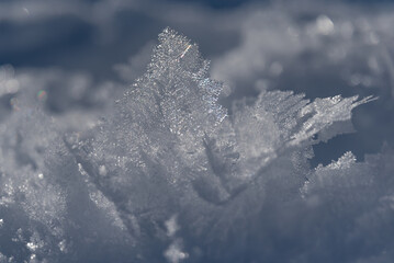 Winter Wonderland im Leutasch, Seefeld