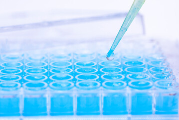 geneticist working with microplate for cells analysis in the genetic lab. Researcher working with...