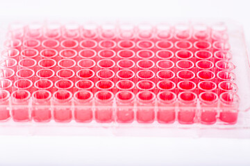 research science cell culture at the medicine, medical and cell culture laboratory