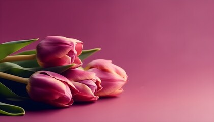 Spring tulip flowers with copy space for Mother's Day, pink background