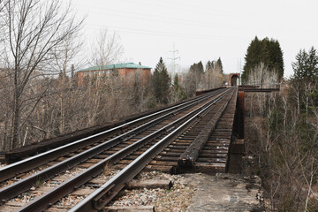 Obraz premium railway in the forest