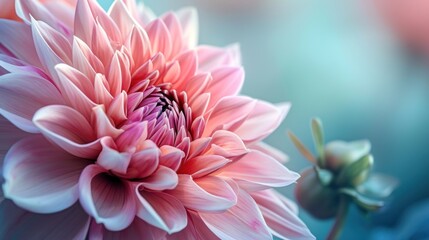  a close up of a pink flower with a blurry background of blue and pink flowers are in the foreground, and a pink flower is in the foreground. - obrazy, fototapety, plakaty