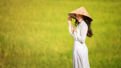 young woman in vietnamese dress standing in a rice field in her hand holding golden rice paddy,
