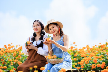 two woman sitting holding tangerine or orange fruit in the flowers garden