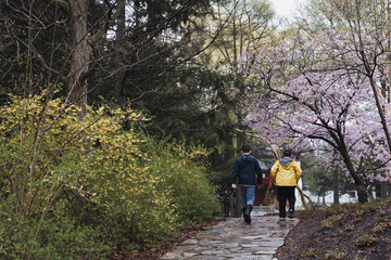 Fototapeta premium 2 boys walking in the park