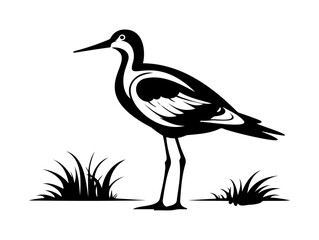 Black and White Avocet Bird Illustration – Elegant Wading Bird Standing in Grass ¥