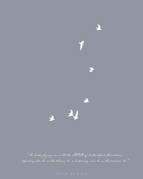Simple Birds Flying on Gray w/ Bible Verse Isaiah 31:5 KJV "As birds flying, so will the LORD of hosts defend Jerusalem; defending also he will deliver it; and passing over he will preserve it."
