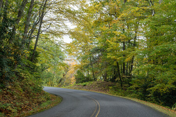 Obraz premium A Stunning view to the road of autumn