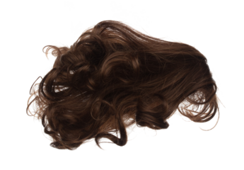 Wind blow Long wavy curl Wig hair style fly fall. Brown woman wig hair float in mid air. Curly wavy brown wig hair wind blow cloud throw. White background isolated detail motion