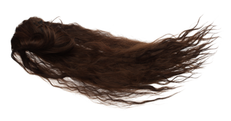 Wind blow Long straight Wig hair style fly fall. Brown wavy woman wig hair float in mid air. Straight brown black wig hair wind blow cloud throw. White background isolated detail motion