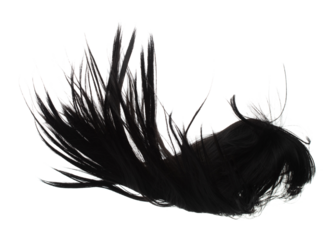 Wind blow Long straight Wig hair style fly fall. Brown woman wig hair float in mid air. Straight brown black wig hair wind blow cloud throw. White background isolated detail motion