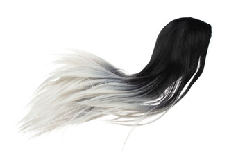 Wind blow long wavy straight Wig hair style fly fall. Mix dying black white woman wig hair float in mid air. Long straight dying black mix white wig hair wind blow throw. White background isolated