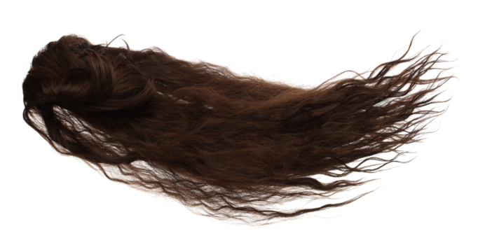 Wind blow Long straight Wig hair style fly fall. Brown wavy woman wig hair float in mid air. Straight brown black wig hair wind blow cloud throw. White background isolated detail motion