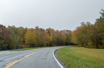 A Stunning view to the road of autumn