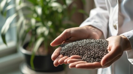 Nutritionist presenting a handful of chia seeds with a plant in the background - obrazy, fototapety, plakaty