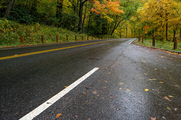 winding road in autumn