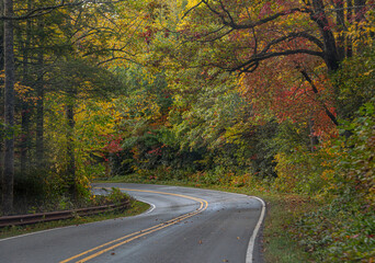 A Stunning view to the road of autumn