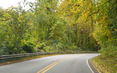 Fototapeta premium A Stunning view to the road of autumn