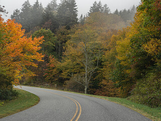 Road in the fog of mystery