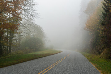 Road in the fog of mystery