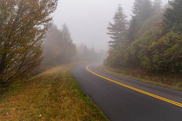 Road in the fog of mystery