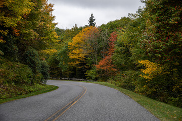 A Stunning view to the road of autumn