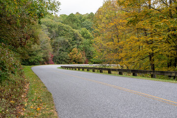 A Stunning view to the road of autumn